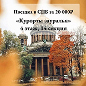 в спб за 20000 р.